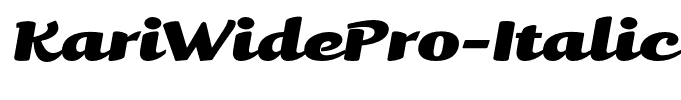 KariWidePro-Italic