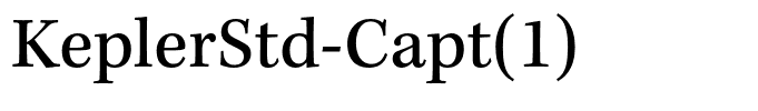 KeplerStd-Capt(1)