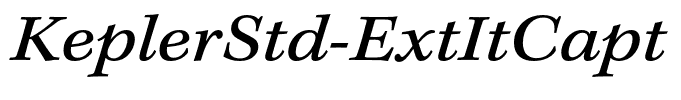 KeplerStd-ExtItCapt