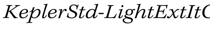 KeplerStd-LightExtItCapt(1)