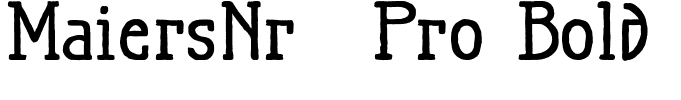 MaiersNr.21Pro-Bold