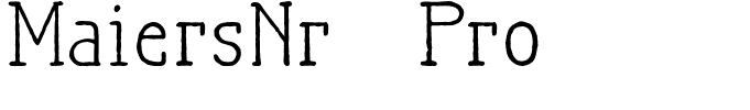 MaiersNr.21Pro