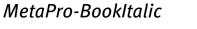 MetaPro-BookItalic