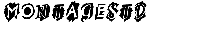 MontageStd