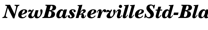 NewBaskervilleStd-BlackItalic