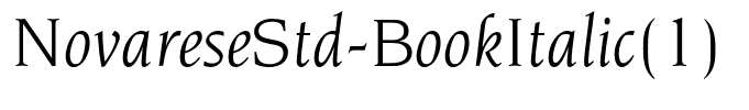 NovareseStd-BookItalic(1)