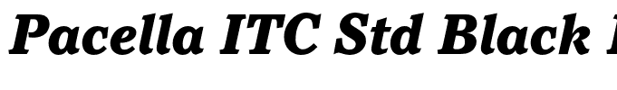 Pacella ITC Std Black Italic