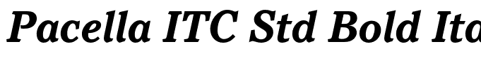 Pacella ITC Std Bold Italic