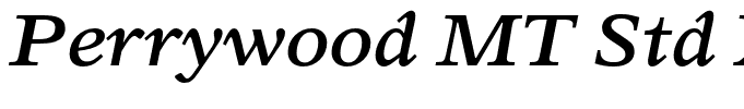 Perrywood MT Std Xbold Xpd It