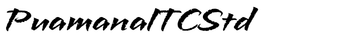 PuamanaITCStd