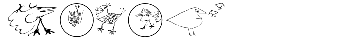 Birds