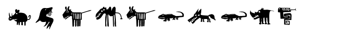 Chamaeleon