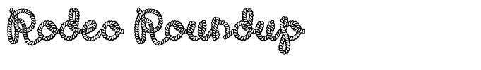 Rodeo Roundup