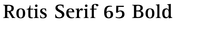 Rotis Serif 65 Bold