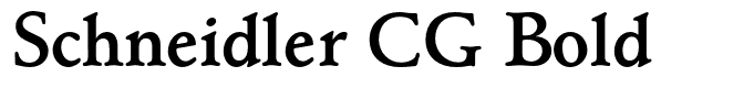 Schneidler CG Bold