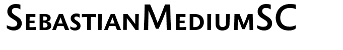 SebastianMediumSC