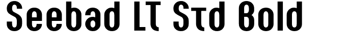 Seebad LT Std Bold