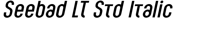 Seebad LT Std Italic