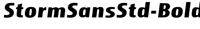 StormSansStd-BoldItalic