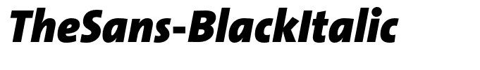 TheSans-BlackItalic