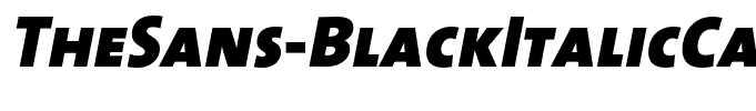 TheSans-BlackItalicCaps