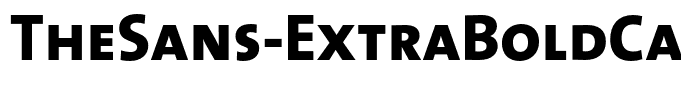 TheSans-ExtraBoldCaps