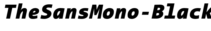 TheSansMono-BlackItalic