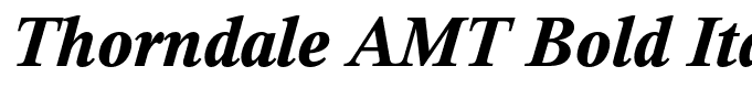 Thorndale AMT Bold Italic