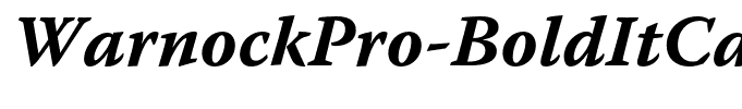 WarnockPro-BoldItCapt(1)
