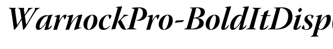 WarnockPro-BoldItDisp(1)