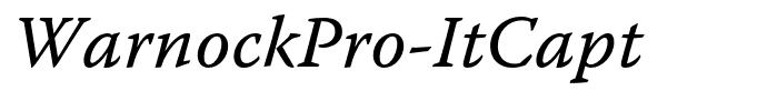 WarnockPro-ItCapt