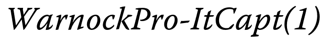 WarnockPro-ItCapt(1)