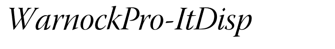 WarnockPro-ItDisp