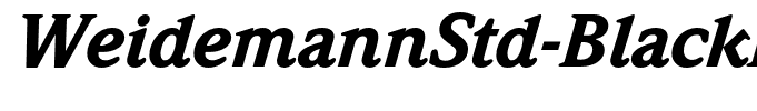 WeidemannStd-BlackItalic(1)
