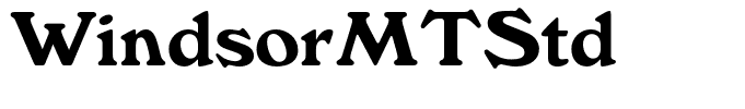 WindsorMTStd