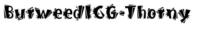 BurweedICG-Thorny
