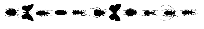 ChileanBugs Regular