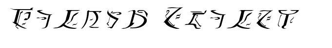 Falmer Italic