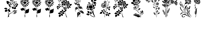 HFF Floral Stencil Regular
