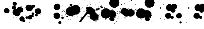 WC Rhesus B Bta Italic