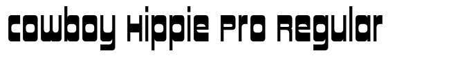 Cowboy Hippie Pro Regular