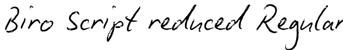 Biro Script reduced Regular