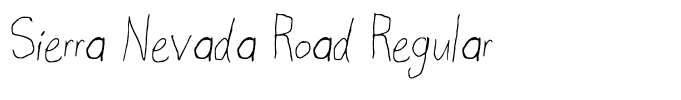 Sierra Nevada Road Regular