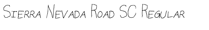 Sierra Nevada Road SC Regular