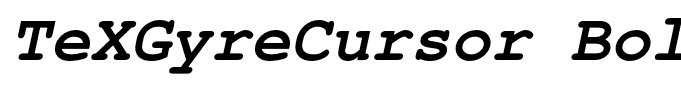 TeXGyreCursor Bold Italic