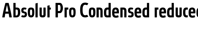 Absolut Pro Condensed reduced Regular[3]