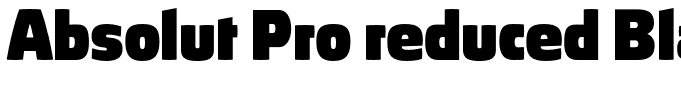 Absolut Pro reduced Black