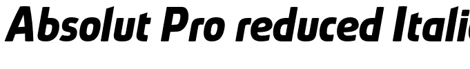 Absolut Pro reduced Italic