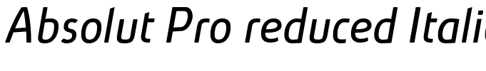 Absolut Pro reduced Italic[1]