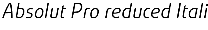 Absolut Pro reduced Italic[2]